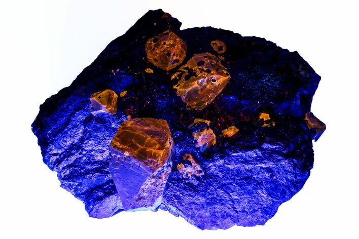 Fluorescent Zircon Crystals in Magnetite - Norway #228209